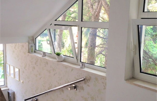 Apartmani Vila Kukoljac - Foto 48