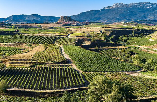 Excursion d'une journée à Vitoria, La Rioja et visite d'un domaine viticole à Laguardia au départ de Bilbao - Photo 9