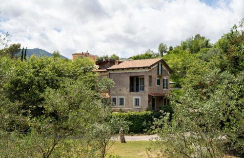 Il Giardino del Sole - Lavanda - Foto 21