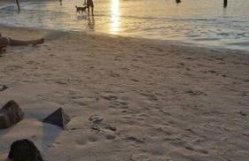 Flat em Pipa - Brisas do Amor - Foto 34