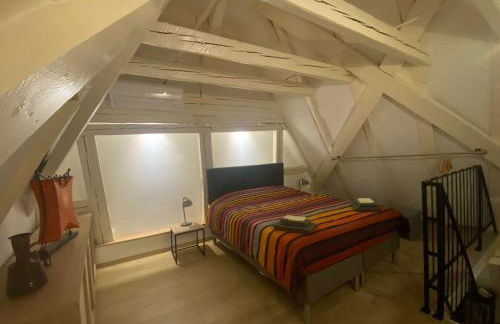 Les Corbelles, duplex hyper centre - Foto 2