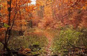 Apartement Unten im Dorf - Foto 22