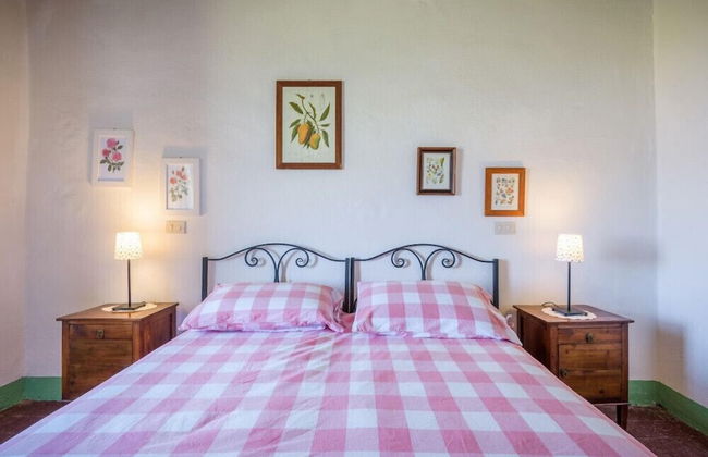 Verdidea - Podere del Mezzadro - Foto 12