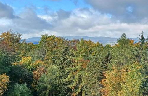 Wohnung in Leuderode beim Wildpark - Foto 32