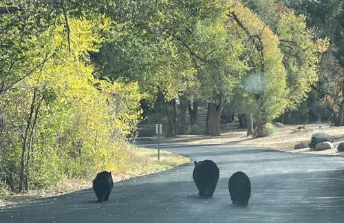 Celestial Casita - Foto 10