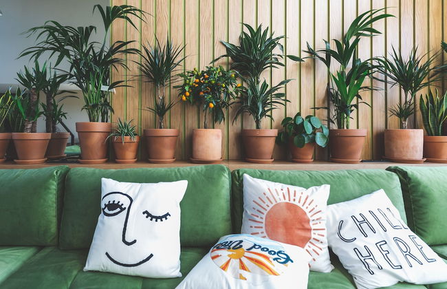 Coloft By PurePlaces - Foto 23