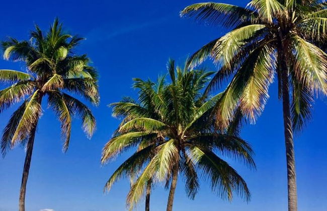 The St Maurice Beach Inn - Foto 38