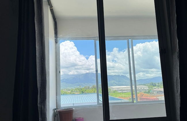 Bula Bliss - Photo 67