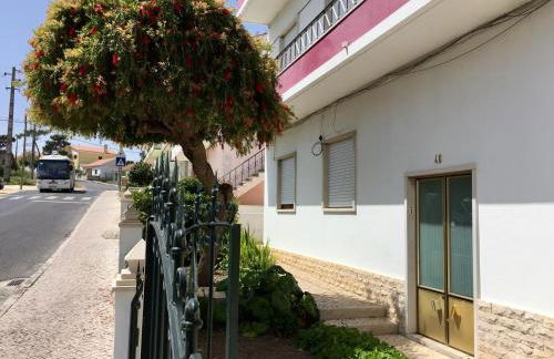 Lines of Wellignton - Foto 27