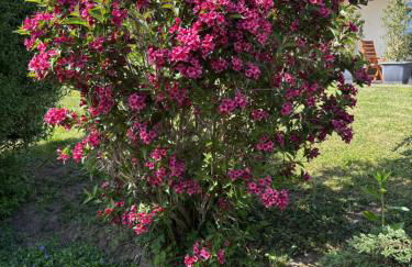 Erholung im Westerwald ! - Foto 21