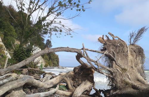 Traumblick und Komfort - lichtdurchflutete 85 qm Wohnung nahe Südstrand Göhren inklusive Schwimmbad und Sauna im AHOI Sellin - Foto 45