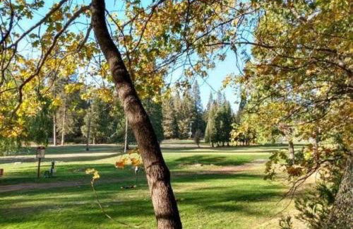 Fairway Apartments Unit 1 - Photo 24