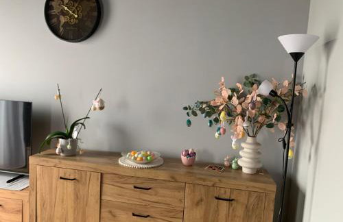 Bulwar Apartament Stare Miasto - Foto 18