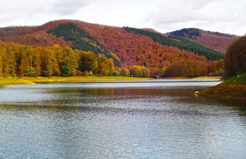 Gaztanbide Apartamento rural - Foto 19