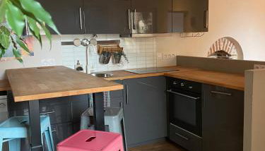 Appartement bucolique - Cœur historique Dijon - Foto 3