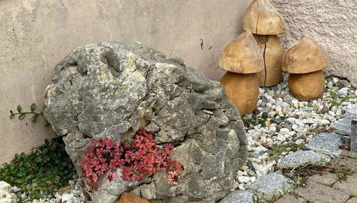 Altes Rathaus - Foto 4