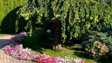 Gartenhof - Foto 4, Garden view