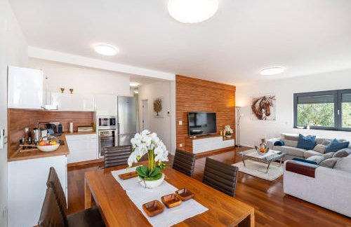 Apartman Darija - Foto 18