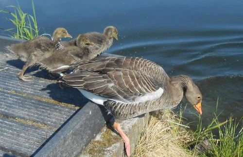South Lake House - 300m to South Lake Leisure Centre - Foto 55
