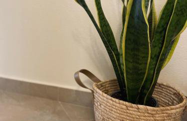 Backyard houses - Foto 16