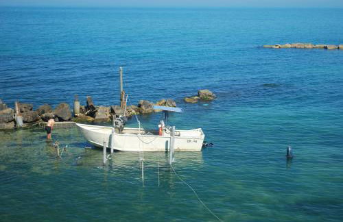 Agriturismo Villa Vetiche - Foto 69