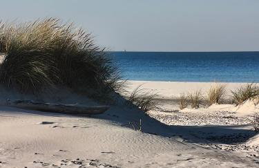 DOMKI RUCHOME PIASKI - Foto 30