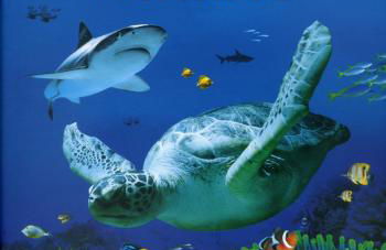 Au Charme De Bussy - Maison près de Disneyland Paris, Forêt, Gare - Foto 40