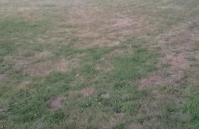 Maison Normande - Le Mesnil en Ouche - Foto 24