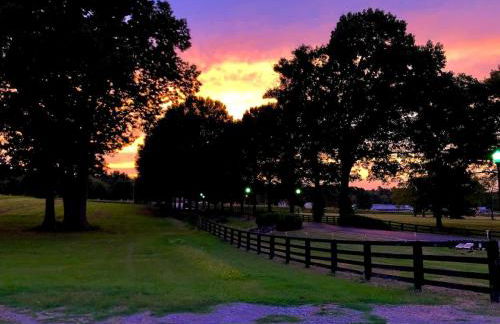 Scenic Barn B&B with Private Bath & Country Breakfast near Old Hickory Lake – Gallatin, Tennessee - Foto 29