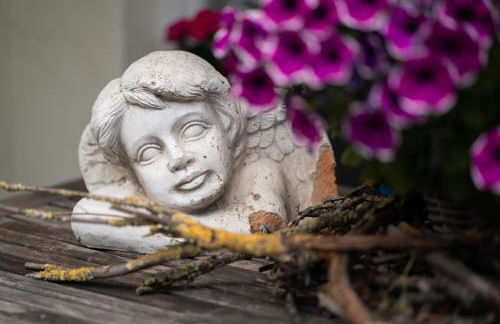 Ferienhof Homann Sauerland - Foto 25