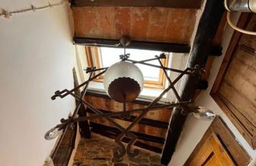 La Cannicciaia - Foto 15