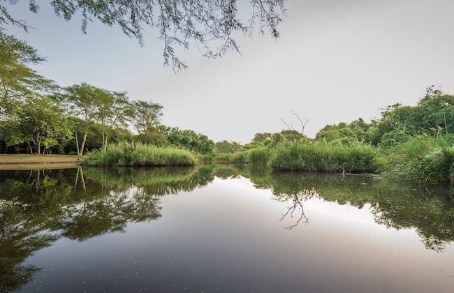 Bush Villas on Kruger - Photo 21