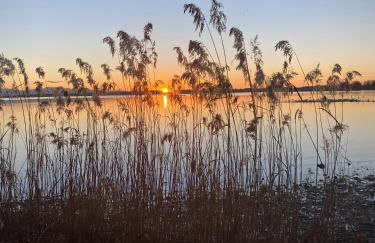 Gästehaus Wolfgang Chiemsee -1- - Foto 17