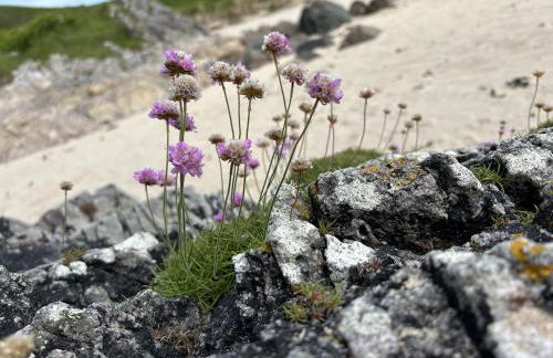Unique house in an idyllic situation on a beach - Foto 11