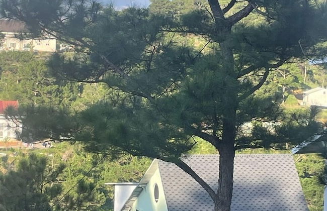 An Nhiên Villa - Photo 7