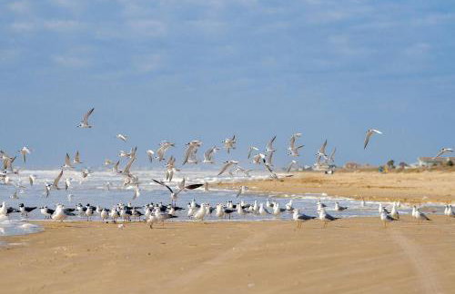 Crystal Sands - Foto 31