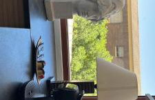 Suites 5* Lahcene - Foto 36