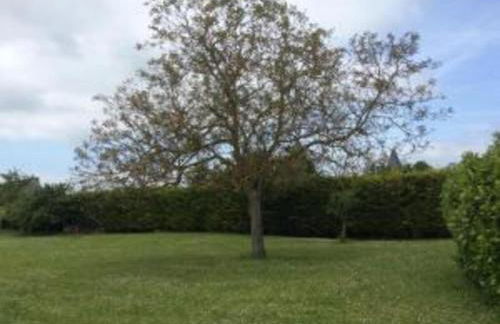 Holiday Home in Chilleurs near Château - Foto 37