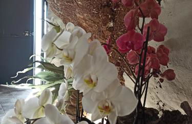 Alvarado Loft Rural - Foto 30