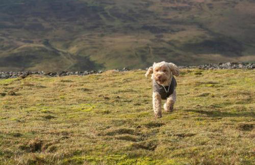 1 Bed in Reeth oc-t29540 - Photo 27