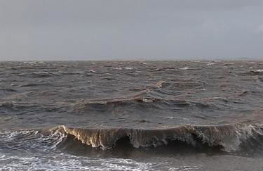 Ferienhof Röhe - Foto 30