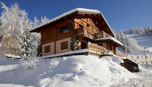 Les Saisies côté Bisanne appartement dans chalet LE Népal - Foto 2