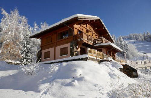 Les Saisies côté Bisanne appartement dans chalet LE Népal - Foto 2