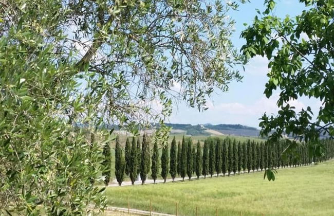 Montalceto Tuscan Nest - Foto 38