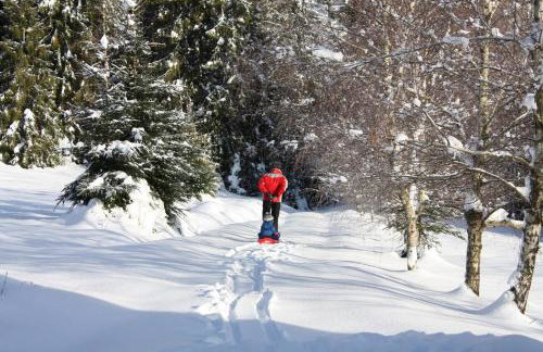 Chata góralska Wojtasówka - Foto 67