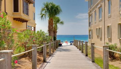 Sand Dollar - Foto 5