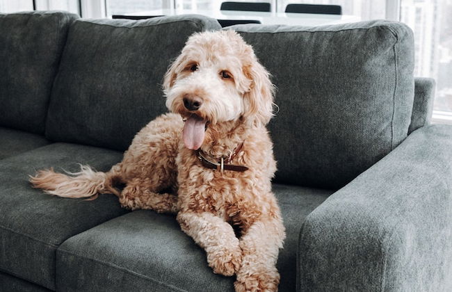 Level Chicago – Old Town - Foto 52