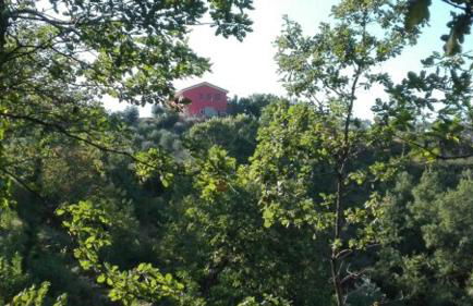 Agriturismo San Michele - Foto 8