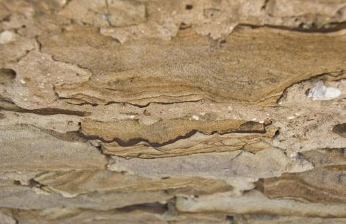 Ferienwohnung Kaim - Foto 11