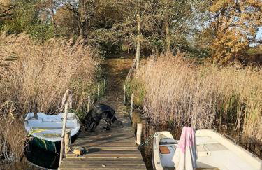 Łabądkowo - Foto 55